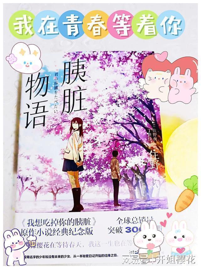 初级会计和注册会计有啥不一样?一起看看